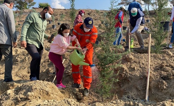 Hatay’da yanan ormanlık alanlar fidanlarla buluştu