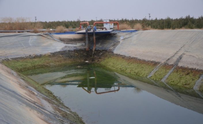 Havuza düşen genci kurtaran ağabeyi ve arkadaşı boğuldu