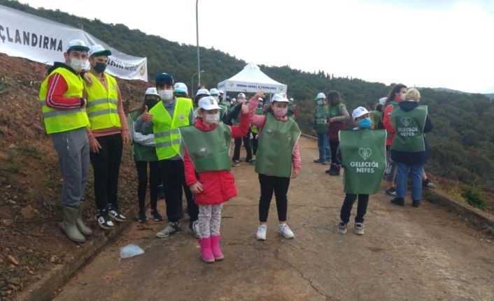 Heybeliada’da yanan ormanlık alana yüzlerce fidan dikildi