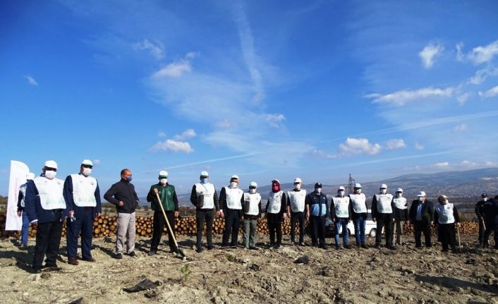 Hisarcık’ta yanan orman alanı ağaçlandırılıyor