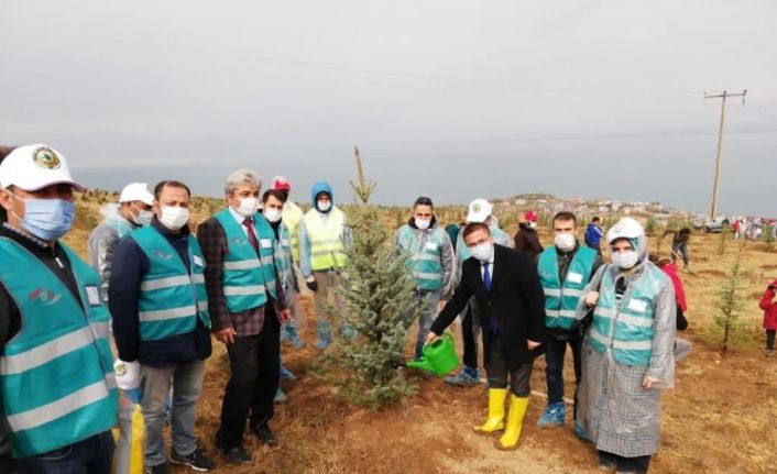 Hükümlü ve yükümlüler ağaç dikerek topluma kazandırılıyor