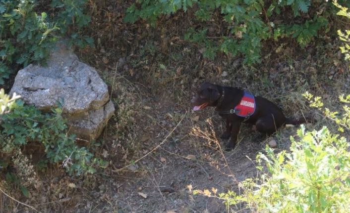 İçişleri Bakanlığınca Bitlis’te ’Yıldırım-15 Mutki-Sarpkaya Operasyonu’ başlatıldı