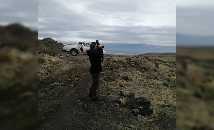 Iğdır’da av koruma ve kontrol faaliyetleri devam ediyor