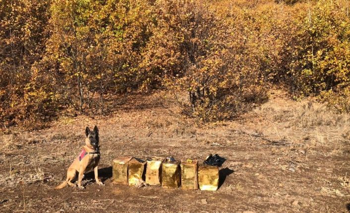 Jandarma Bitlis’te 100 kilogram patlayıcı madde ele geçirdi