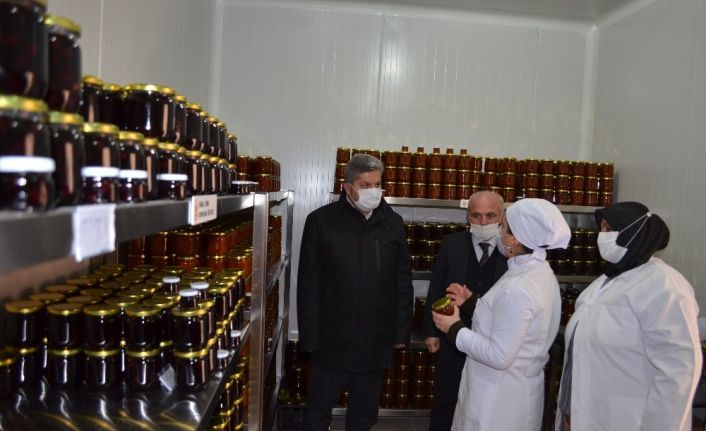 Kadın çiftçiler hem üretiyor hem de ev ekonomilerine katkı sunuyorlar