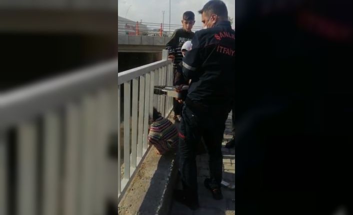 Kafası demir korkuluklara sıkıştı