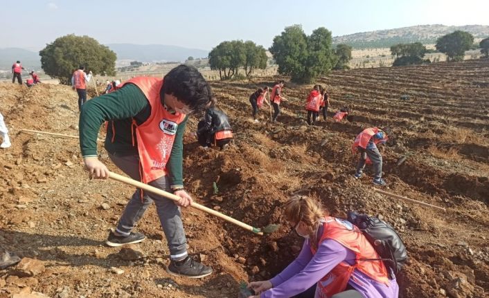 Kahramanmaraş’ta 156 bin fidan toprakla buluştu