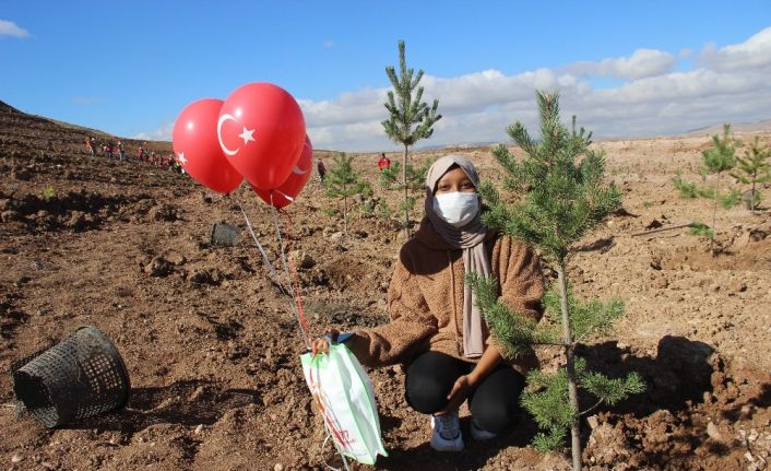 Kilometrelerce uzaktan gelip, Sivas’ta fidanları toprakla buluşturdular
