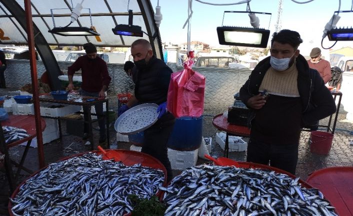 Kilosu 10 TL’ye kadar düşen hamsi fiyatı ile vatandaşın yüzünü güldürdü