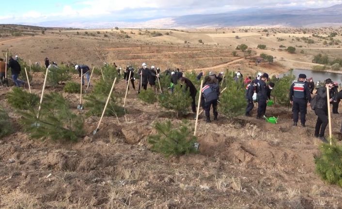 Kırıkkale’de ‘Geleceğe Nefes’ için 25 bin fidan toprakla buluştu