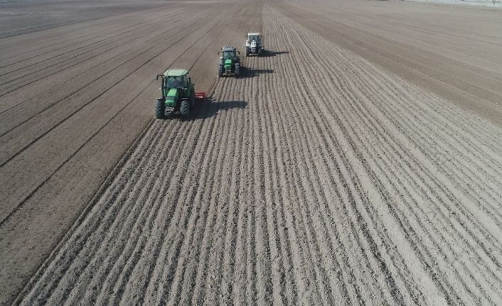 Konya Büyükşehir 700 bin metrekare araziyi üretime ve ekonomiye kazandırıyor