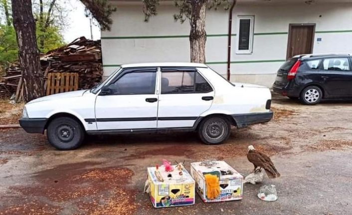 Konya’da 9 avcıya 41 bin 780 lira ceza