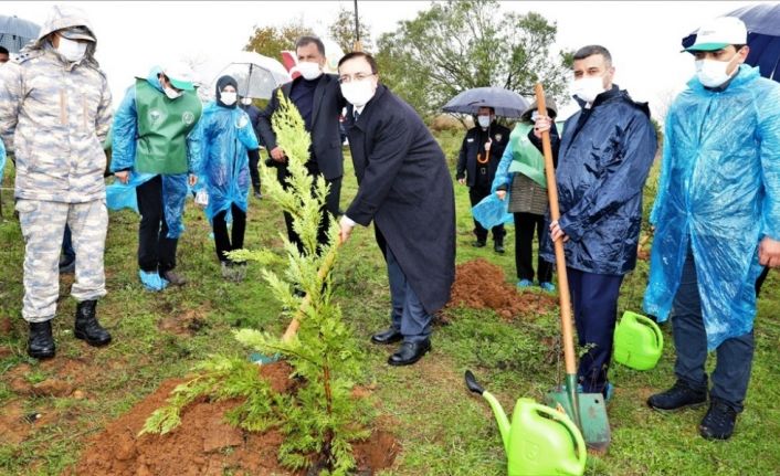Körfez’de 500 fidan toprakla buluştu
