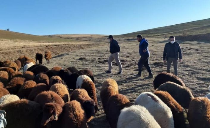 “Köyümde Yaşamak İçin Bir Sürü Nedenim Var” projesiyle işçi olmaktansa işveren oldu