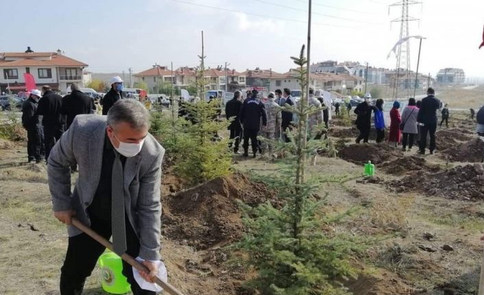 Kütahya il genelinde 241 bin 300 fidan toprakla buluştu