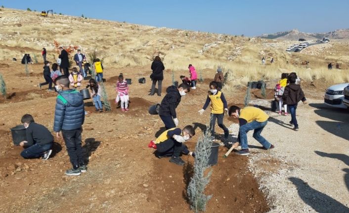 Mardin’de 13 bin fidan toprakla buluştu