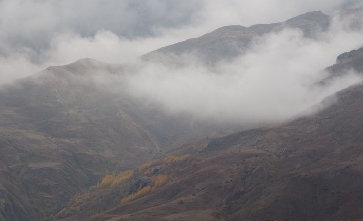 Muş’ta sonbahar güzellikleri