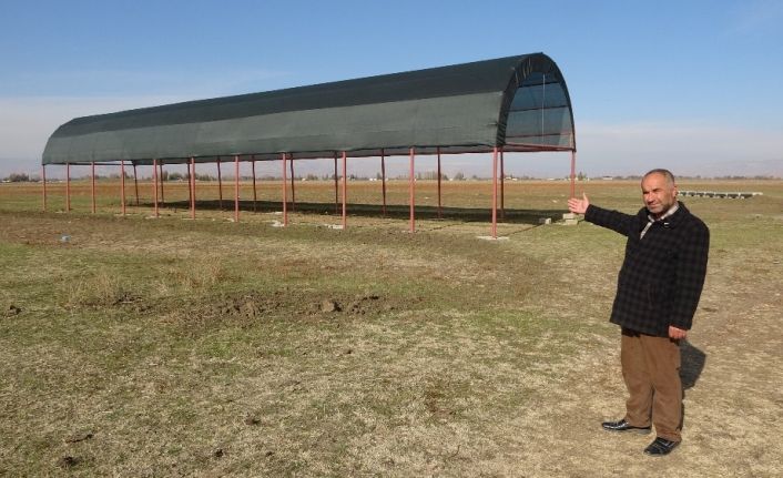 Muş’ta tarım ve hayvancılığa 1 milyon 600 bin liralık devlet desteği