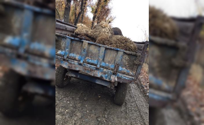 Mutki’de 334 küçükbaş hayvan yanarak telef oldu