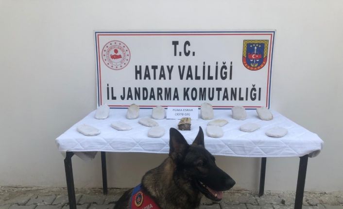Nar ağacı altına gömülü 3 kilo esrar ele geçirildi