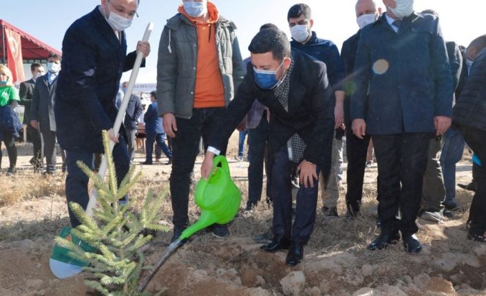 Nevşehir’de binlerce fidan toprakla buluştu