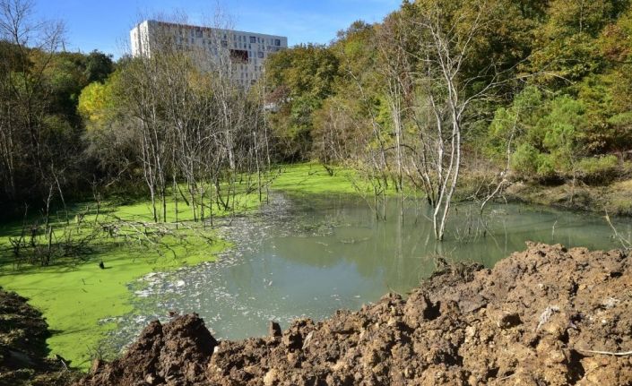 OMÜ’de bataklığa dönüşen alan piknik yeri yapılıyor