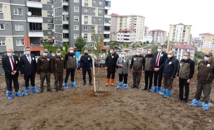 Ordu’da 540 bin 300 adet fidan toprakla buluştu