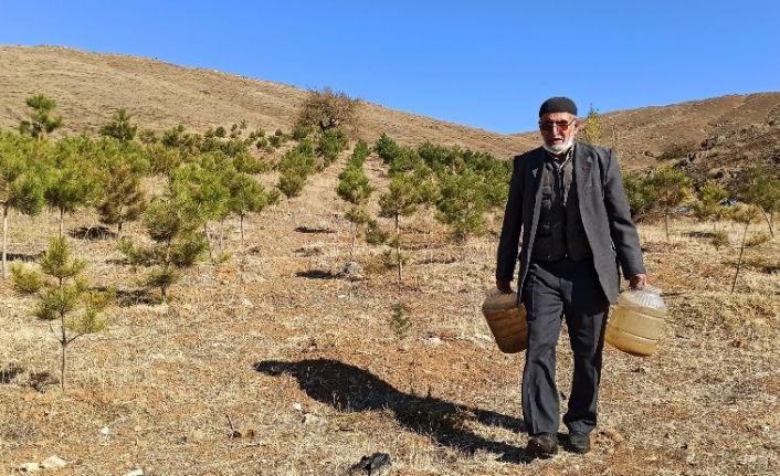‘Orman Dede’, babadan kalma arazisini 11 yılda ormana dönüştürdü