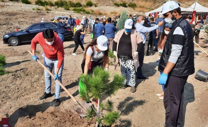 Osmaniye’de yangın sonrası ilk fidanlar toprakla buluştu