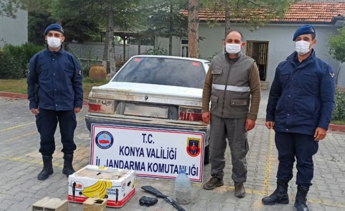 Otomobille şahin avına 13 bin 692 lira ceza