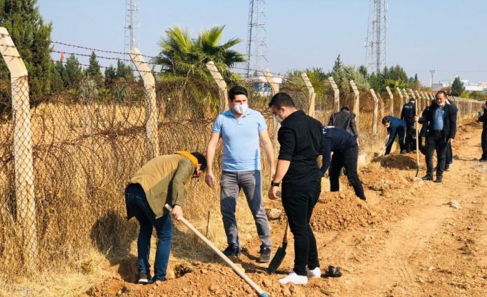 Roketlerin düştüğü topraklar fidanla buluştu