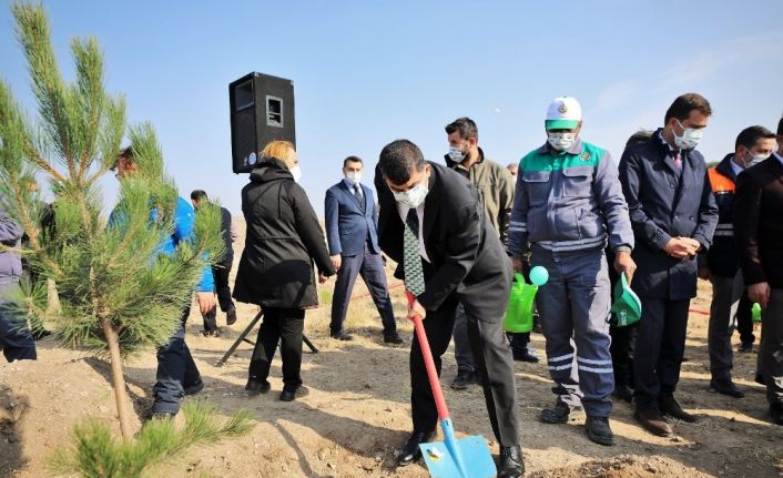 Şehitkamil’de milyonlarca metrekare yeşil alan oluşturuldu
