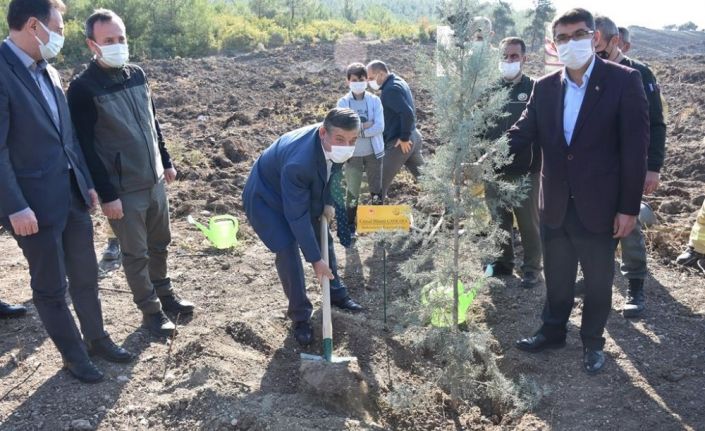 Şehzadeler’de geleceğe nefes olacak fidanlar toprakla buluştu