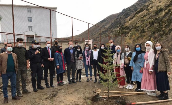 Şemdinli’de fidan dikimi