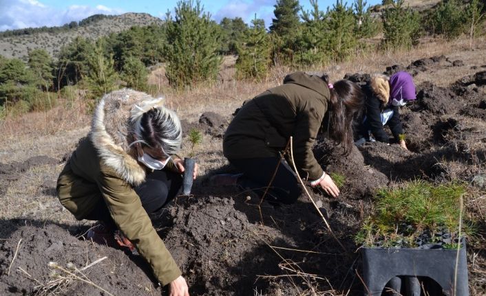 Şenkaya’da “Geleceğe Nefes” için bin 200 fidan dikildi