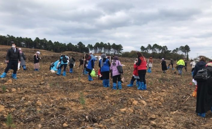 Sinop’tan “Geleceğe Nefes” kampanyasına destek