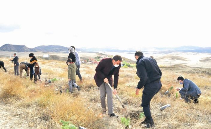 Sungurlu Adalet Ormanı’na 200 fidan dikildi