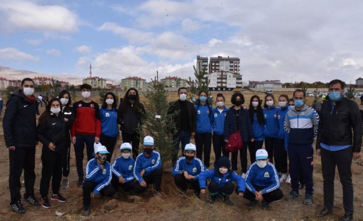 Tatvan’da yüzlerce fidan toprakla buluşturuldu