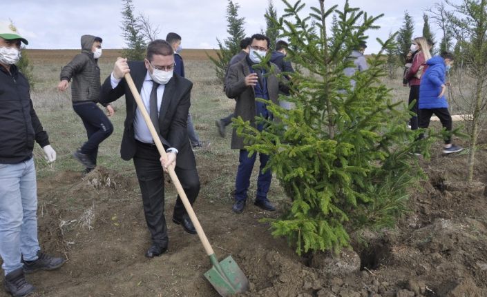 Tekirdağ’da fidanlar toprakla buluştu