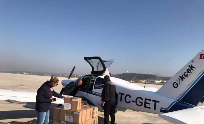 Tilkilere köfte şeklinde kuduz aşısı