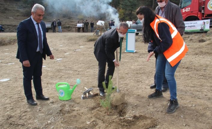 Tosya’da bin adet fidan toprakla buluştu