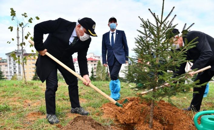 Trabzon’da 40 bin fidanla toprakla buluştu
