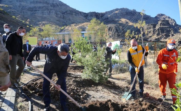 Tunceli’de binlerce fidan toprakla buluştu