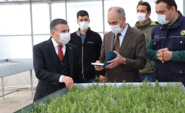 Vali Atay, Fidan şefliğini ziyaret etti