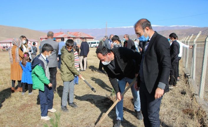 Varto’da fidan dikimi