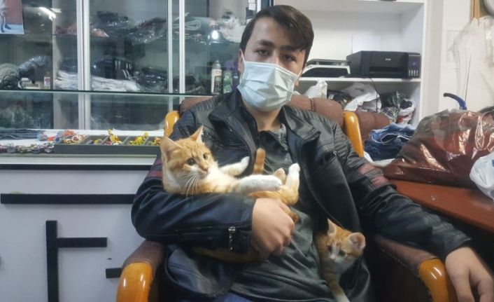 Yaralı kedinin tedavisi için dürümcüde çalıştı