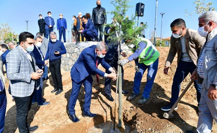 Yeşilyurt’ta bin 444 adet fidan desteği