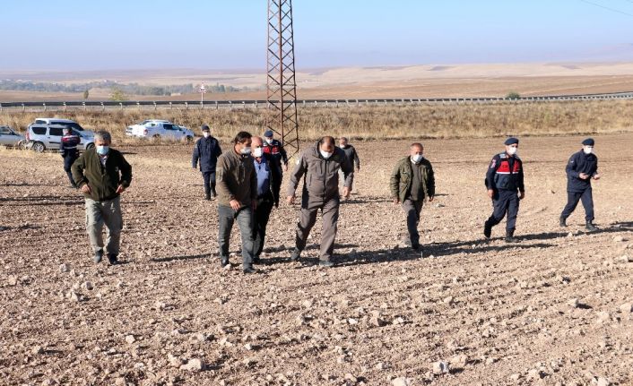 Yozgat’ta ölü bulunup gömüldüğü iddia edilen yakalı toy kuşu ile ilgili araştırma