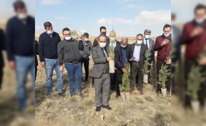 Yunak’ta 3 bin 700 fidan toprakla buluştu