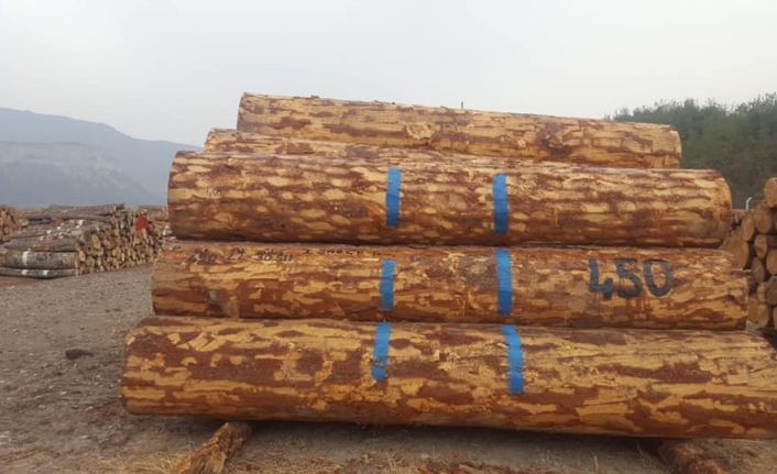 7 bin 213 metreküp orman emvali 3 milyon 341 bin 462 TL’ye satıldı